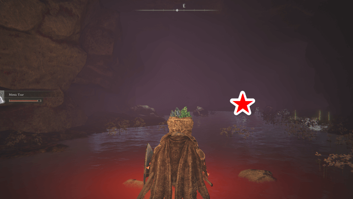 Elden Ring - Somber Smithing Stone 9 World View