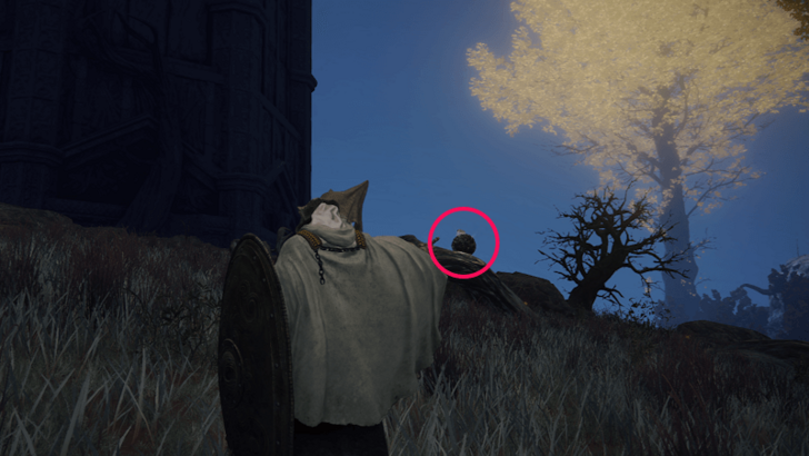 Elden Ring - Somber Stone 8 Caelid Divine Tower World Location