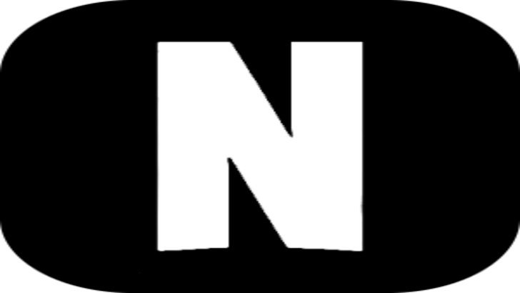 Netflix Icon