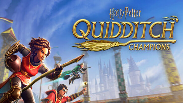 Harry Potter Quidditch Champions Banner