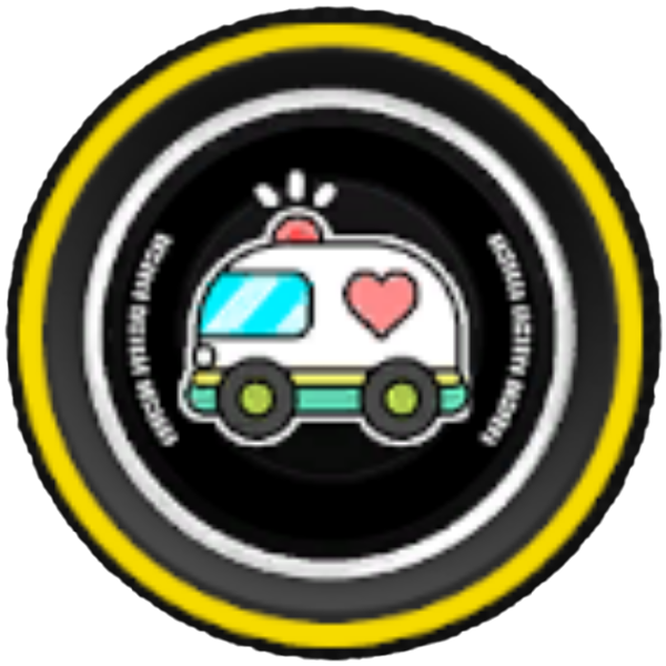 Toy Ambulance Resonia