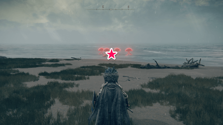 Elden Ring - Somber Smithing Stone 2 World View