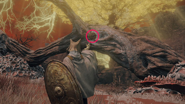 Elden Ring - Somber Smithing Stone 4 Forsaken Ruins Scarab World Location