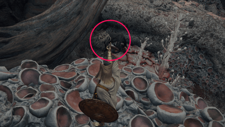 Elden Ring - Somber Smithing Stone 4 Southern Aeonia Swamp Bank World Location