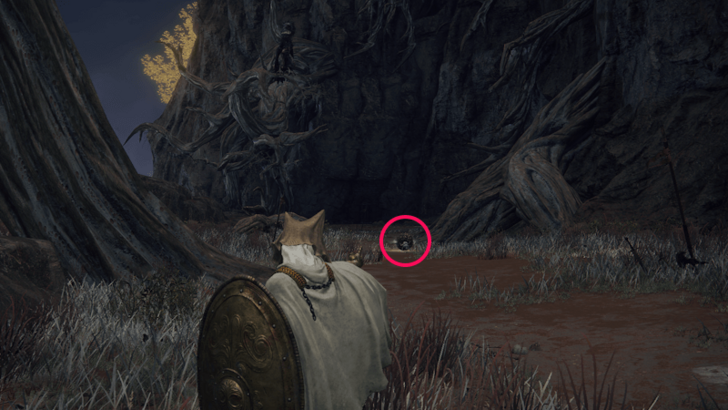 Elden Ring - Somber Smithing Stone 4 Scarab Near Caelid Catacombs World Location