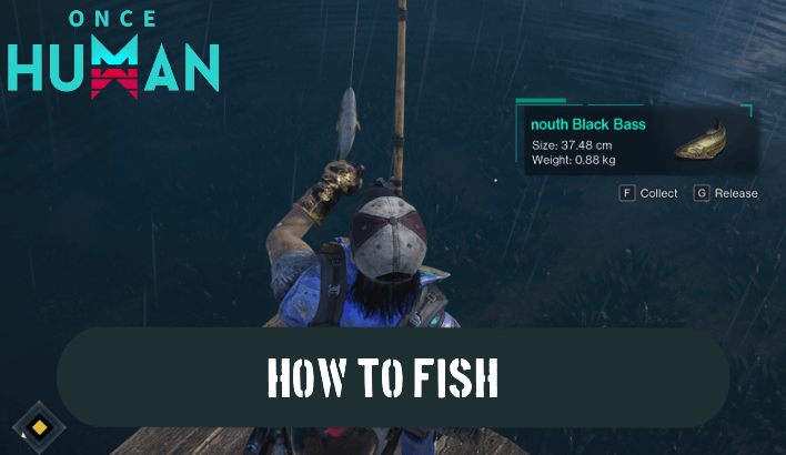 Once Human - How to Fish
