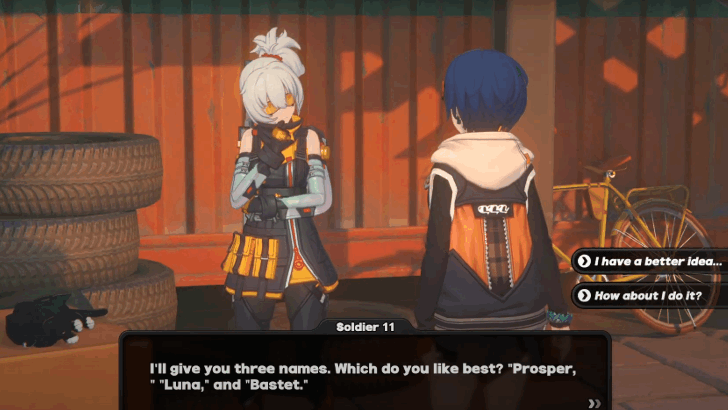 Adoption Plan All Answers and Results