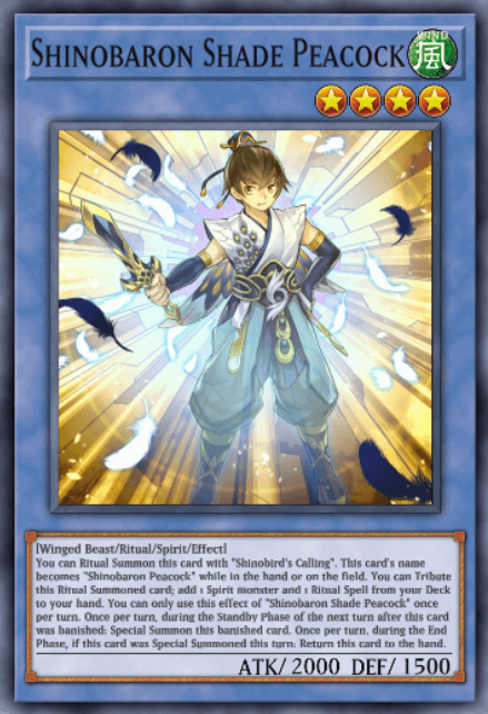 Shinobaron Shade Peacock