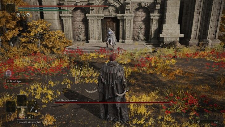 Defeat the Black Knife Assassin