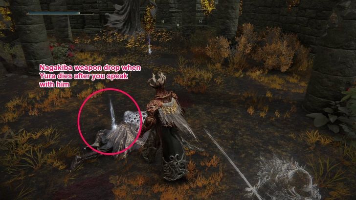 Nagakiba - Yura Weapon Drop Second Church of Marika