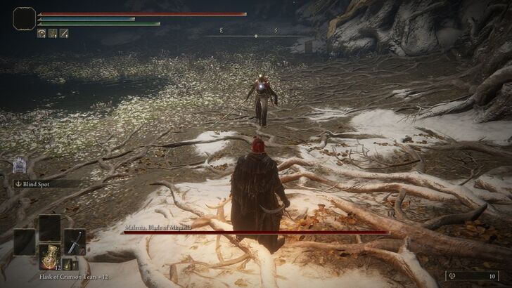 Defeat Malenia, Blade of Miquella (Step 8)