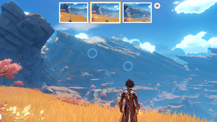 Genshin - Of Passions Vast Photo-Taking Point 2