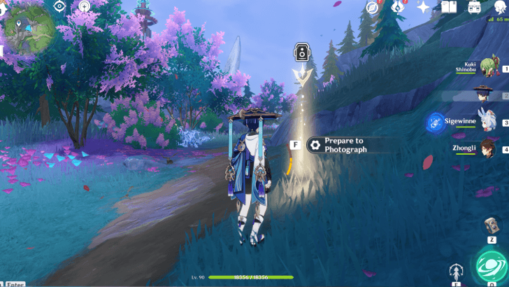 Genshin - Flowers in the Eerie Mist - Location