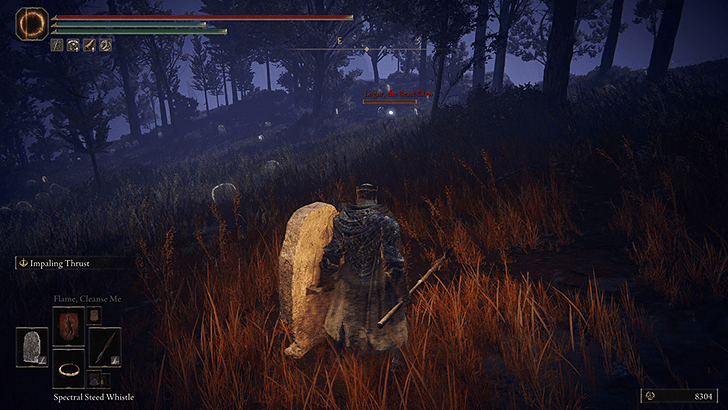 Southeast of the Gravesite Plain Grace