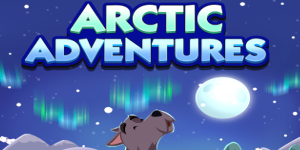 Arctic Adventures