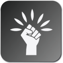 MADDEN NFL 25 - Pass Lead Elite