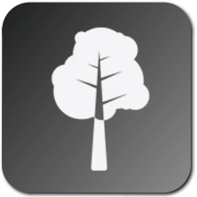 MADDEN NFL 25 - Natural Talent