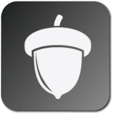 MADDEN NFL 25 - Tough Nut