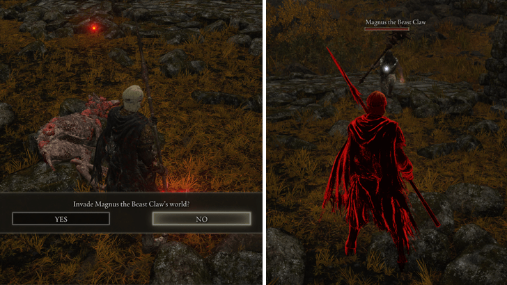 Magnus the Beast Claw Invasion