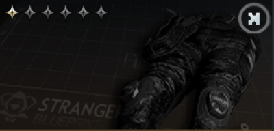 Tornado Pants (Stormweaver Pants) Icon