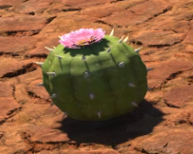 FFXIV - Thorned Cactus