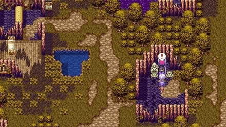 Obtain a Beast Claws at the Temple