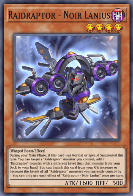 Raidraptor - Noir Lanius