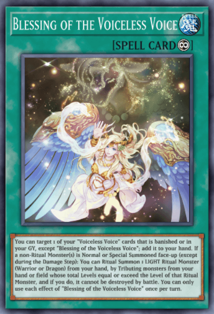 Blessing of the Voiceless Voice