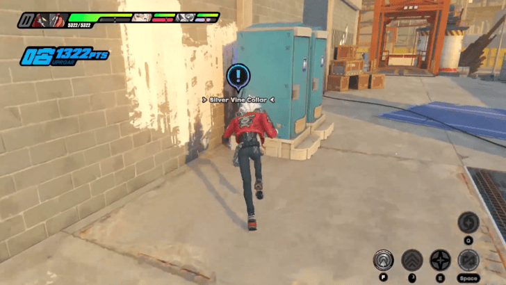 Find the Silver Vine Collar