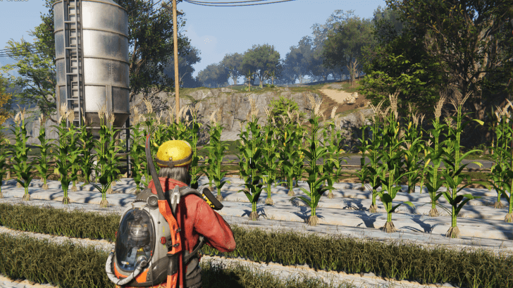 Once Human - Corn in Citrus County