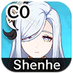 Genshin - Shenhe Support Rank