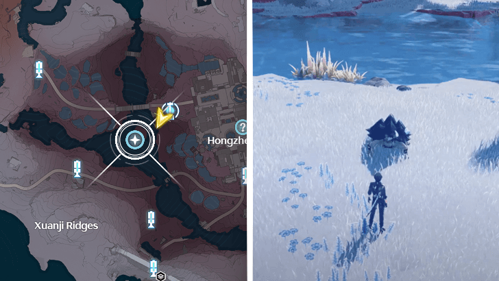 Wuthering Waves - Dance Dance Chelonian Quest Location