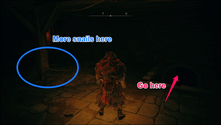 finding the Albinauric Staff step 2