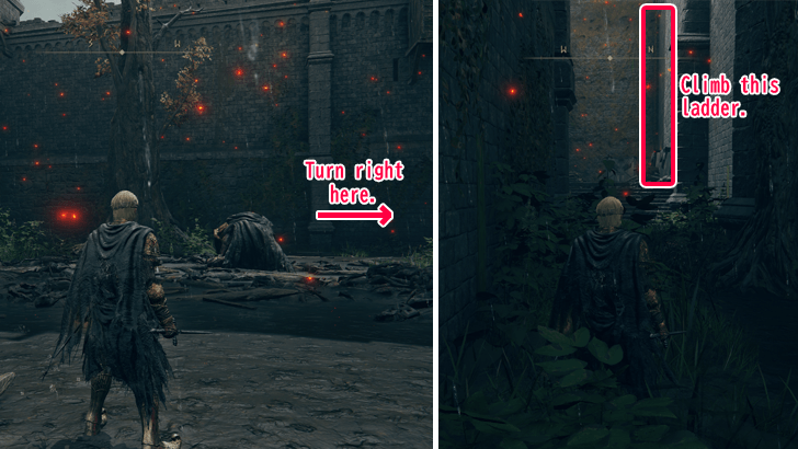 Castle Morne Boss Room Step 3