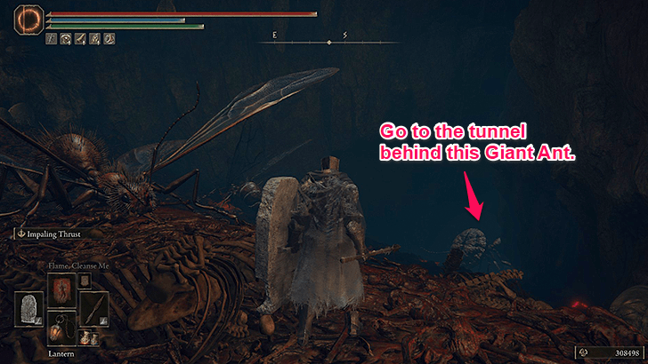 Go Through the Tunnel Behind the Ants