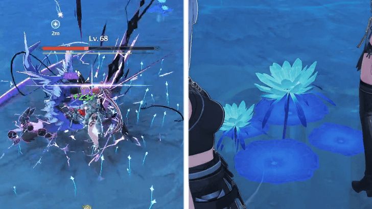 Find Twin Lotus Seed