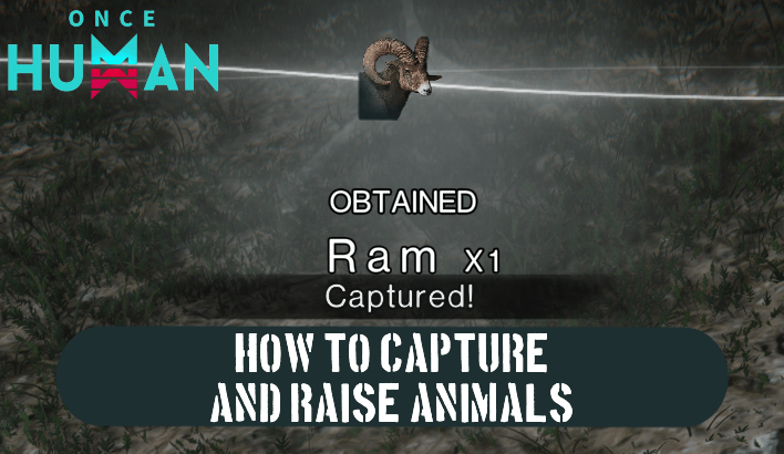 Once Human - Ranch Guide: How to Capture and Raise Animals