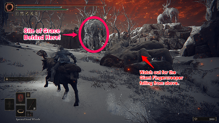 Go Past the Giant Fingercreeper