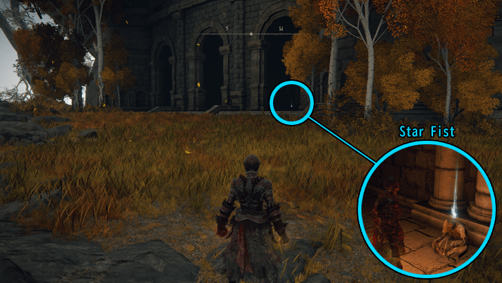 Royal Capital Star Fist Location