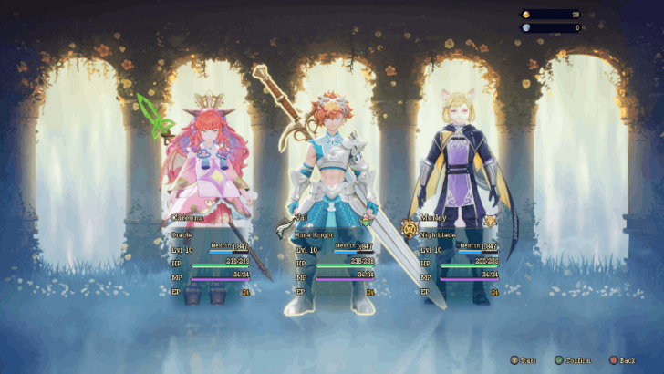 Select a Party Member to Change Class