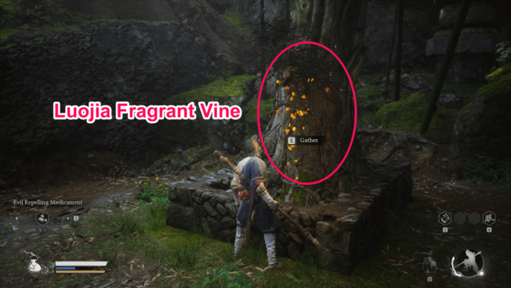 Black Myth Wukong - Luojia Fragrant Vine Location.png