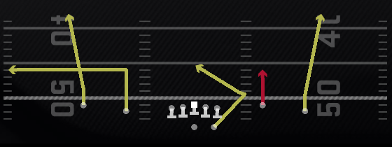 Raider Y-Option Play