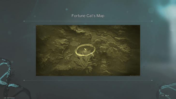 Once Human - Fortune Cat