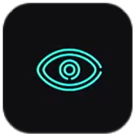 Accessibility Preset - Vision