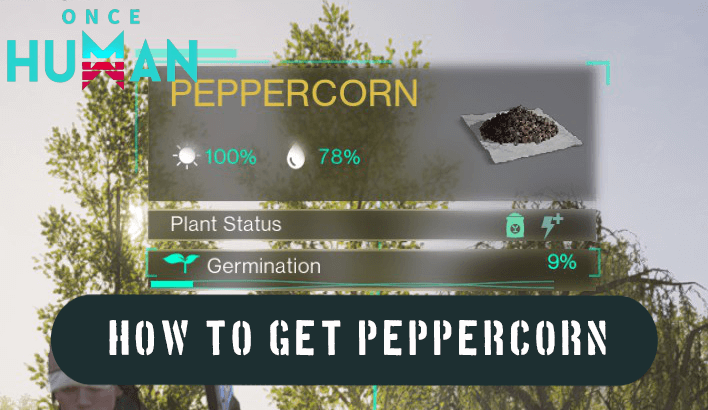 Once Human - Peppercorn Locations and How to Get
