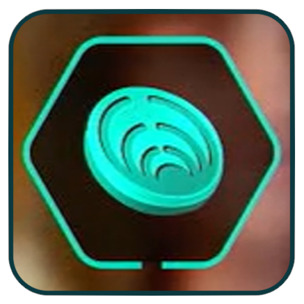 Star Wars Outlaws - Ashiga Clan Crest