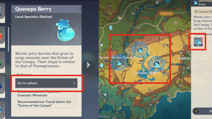 Genshin - Quenepa Berry Tracker