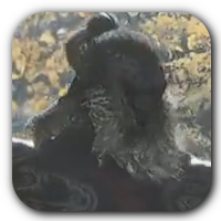 Black Myth Wukong - Hundred-Eyed Daoist Master Icon