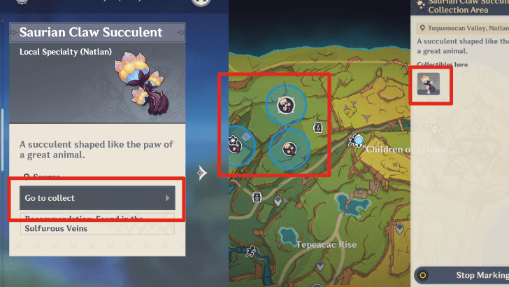 Genshin - Saurian Claw Succulent Tracker