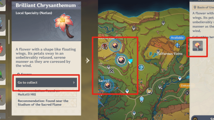 Genshin - Brilliant Chrysanthemum tracker
